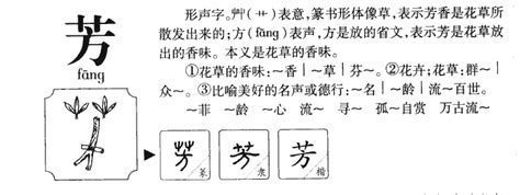 芳五行|芳字五行属什么